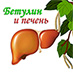 бетулин и печень