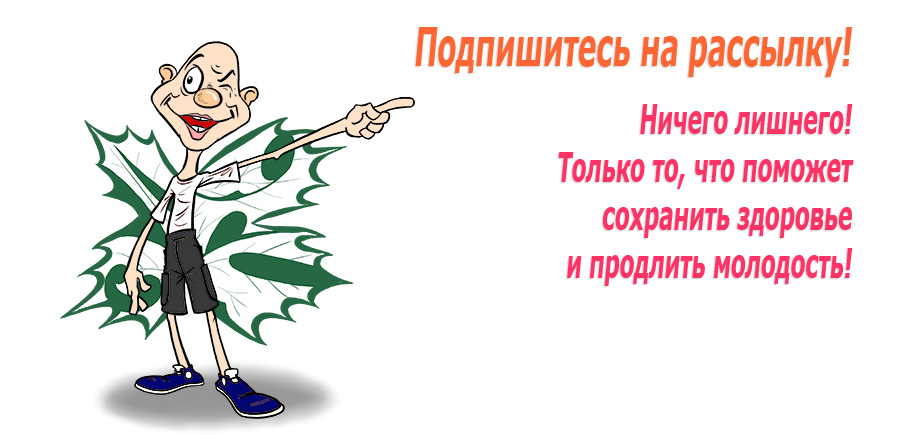 подписка на рассылку ЭЛИТИ