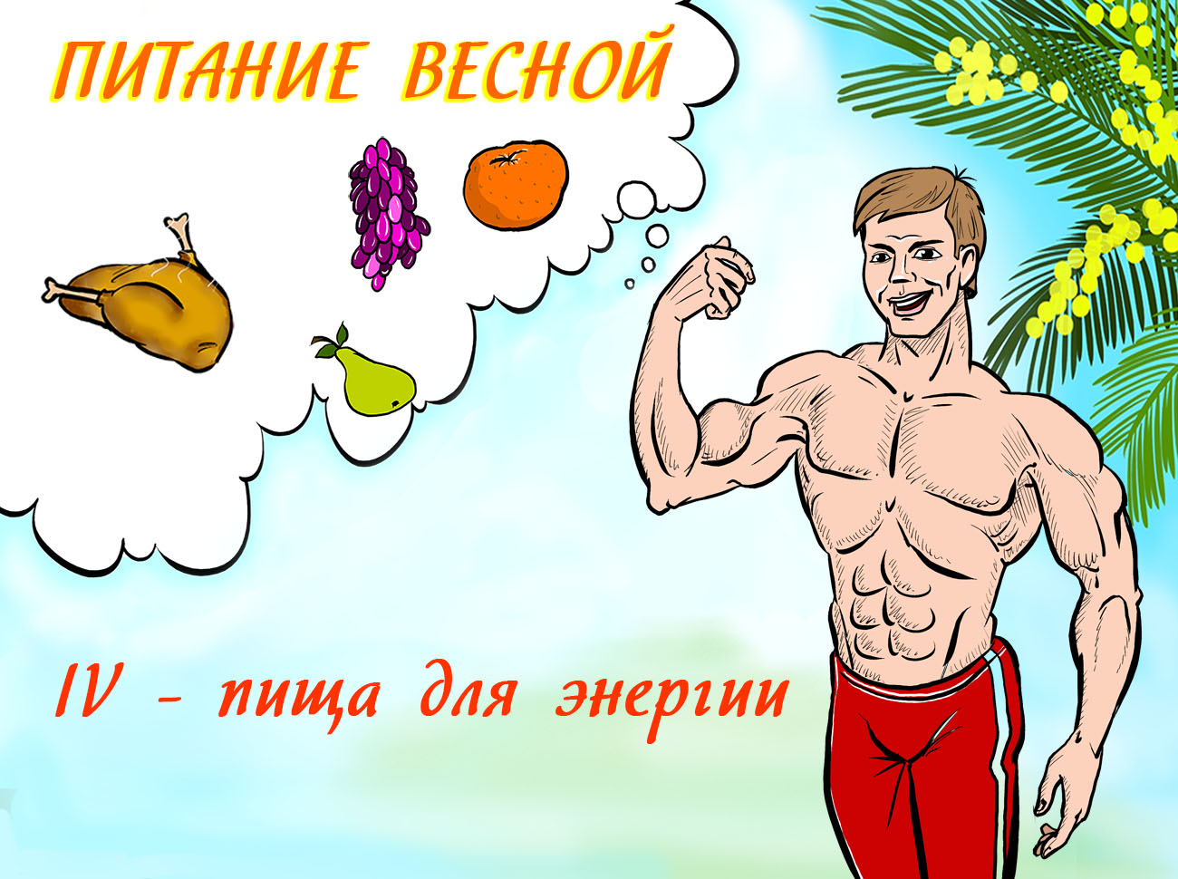 питание дающее энергию