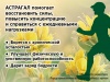 АСТРАГАЛ+ эврика комплекс (60 таблеток)